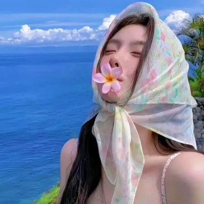 网中的太阳